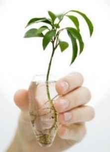 Image Title My Image